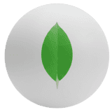 icon 15
